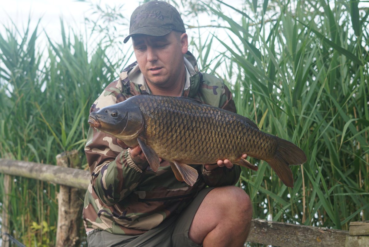 CoreBaits_uk's tweet photo. **Mangrove Bangers**
@deanpowerlfc with these 2 stunning Mangrove commons, both falling to CB4 boilie range.
#GetOnTheCore #NoHypeJustBait #CoreBaits https://t.co/BoTXbcEe7Q