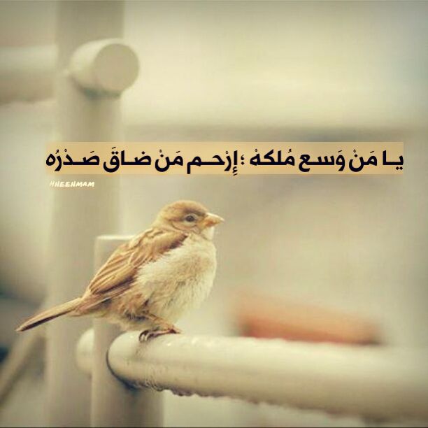 lolonet89's tweet photo. يييييارب https://t.co/aG9GSkbaa5