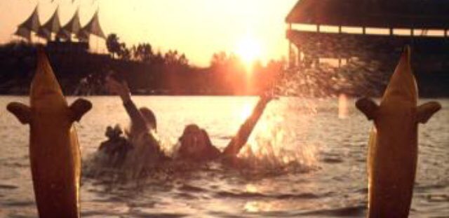 thedailyjaws's tweet photo. Mike, Kay, Cindy and Sandy just wanted to say hi and thanks for all the support, comments and shares this week across our Twitter, Instagram and Facebook pages for #Jaws3DWeek at #TheDailyJaws. Wishing them well in Venezuela! https://t.co/hfV8WtgcR4