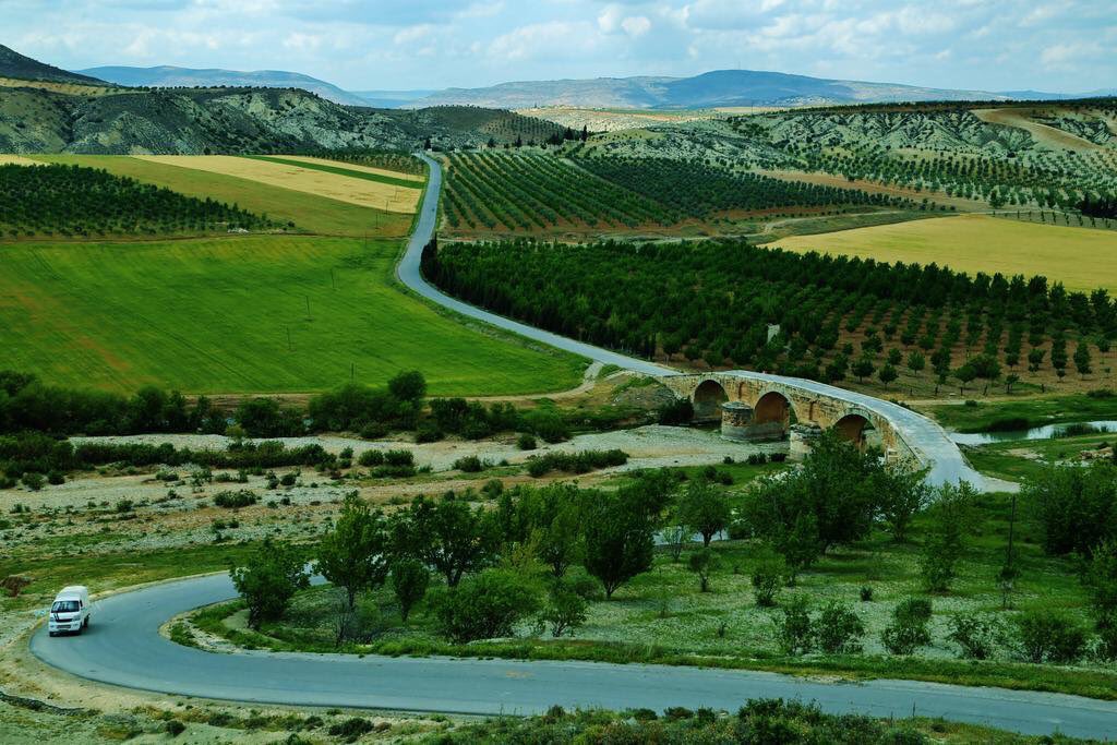NewrozJimo's tweet photo. Pir zehmete dil di Agirê ne çarîyê de xwe wehnda bike dîsa ez siberê didim xwe ji ber ko dibê min rêya xwe wenda kirî be li Ez dizanim rêya min dawîyê li ka diqede!!!
#Afrîn https://t.co/bVemaJzclF