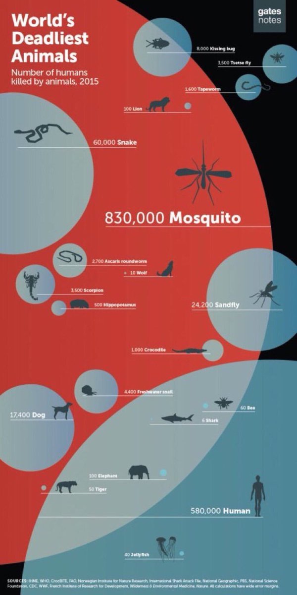 World's deadliest animals (number of humans killed by animals): Shark 🦈 6 Elephant 🐘 100 Scorpion 🦂 3,500 Snake 🐍 60,000 Humans 👫 580,000 Mosquitoes 830,000 #SharkWeek