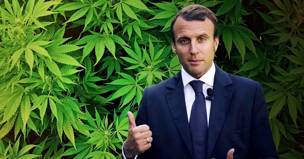 WeLeafNews's tweet photo. Et oui on est encore en droit d'espérer que M.Macron sera le Président français qui fera bouger les lignes en matière de législation sur le cannabis et ses dérivés !

#Cannabis #chanvre #Marijuana #legalisation #legislation #production #médical #WeLeaf #WeLeafNews https://t.co/N5qWE9UoTQ