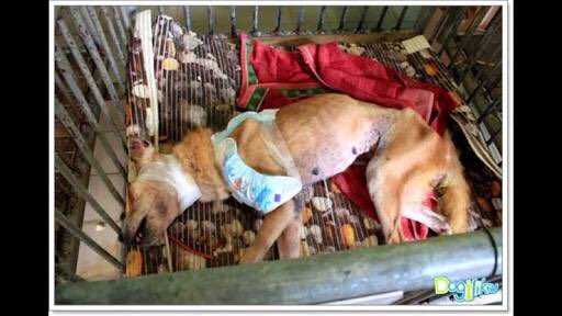 dylanbowee's tweet photo. รูปภายในมูลนิธินะคะ รายได้ทั้งหมดเราจะบริจาคให้มูลนิธิในวันที่ 17 พ.ย 61 เรายังต้องการยอดโดเนทจากทุกคนอยู่น๊าา
🎀 ร่วมโดเนท 👉🏻 https://t.co/5r2z0t1Pwn
🎀แอบเข้าไปส่องได้ที่นี่เลย #ForYuYu #Birthdayminiprojectforkimyugyeom https://t.co/4XPlAB3Veg