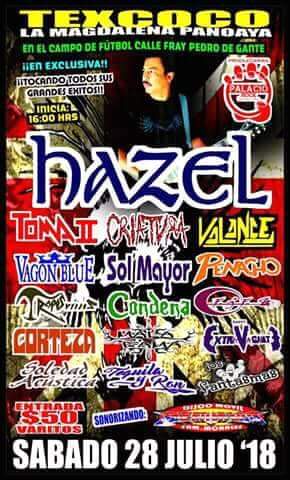 たなかたろう お取り置き さくら 2005-2008 KAWASAKI ZX-6R UPPER FAIRING