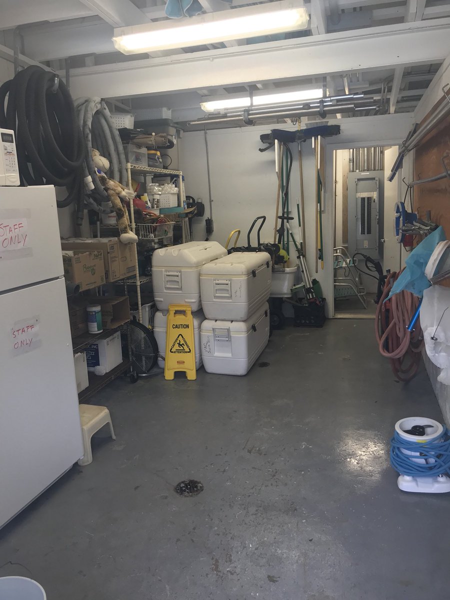 vacpool's tweet photo. Before, during, and after! The storage room was badly in need of organizing and a thorough cleaning, and #pooloftheweek2018 is the perfect excuse! @CrystalAquatics are the best! https://t.co/AQDhBhlnCi