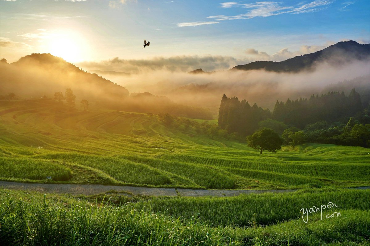 房総の絶景 Twitterren 鴨川市 大山千枚田 朝日と雲海の棚田 超綺麗な景色に感動であります Raw現像です 房総 千葉 絶景 Boso 鴨川市 大山千枚田 棚田 朝日 雲海 T Co Eaorv2he3c 房総の絶景 Twitterren 鴨川市 大山千枚田 朝日と雲海の棚田 超綺麗な景色に感動であります Raw現像です 房総 千葉 絶景 Boso 鴨川市 大山千枚田 棚田 朝日 雲海 T Co Eaorv2he3c