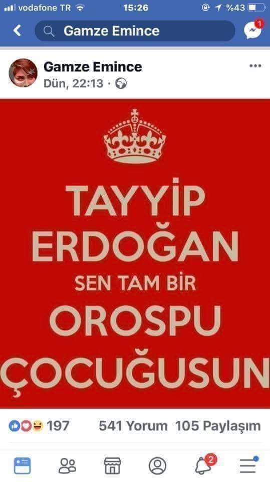 guvennsimsek's tweet photo. Türkiye Cumhuriyeti Başkanına ve Seçmenlerine küfür ve hakaret eden  
#GamzeEminceTutuklansın 

@RT_Erdogan  @06melihgokcek https://t.co/QfoZkR0hiP