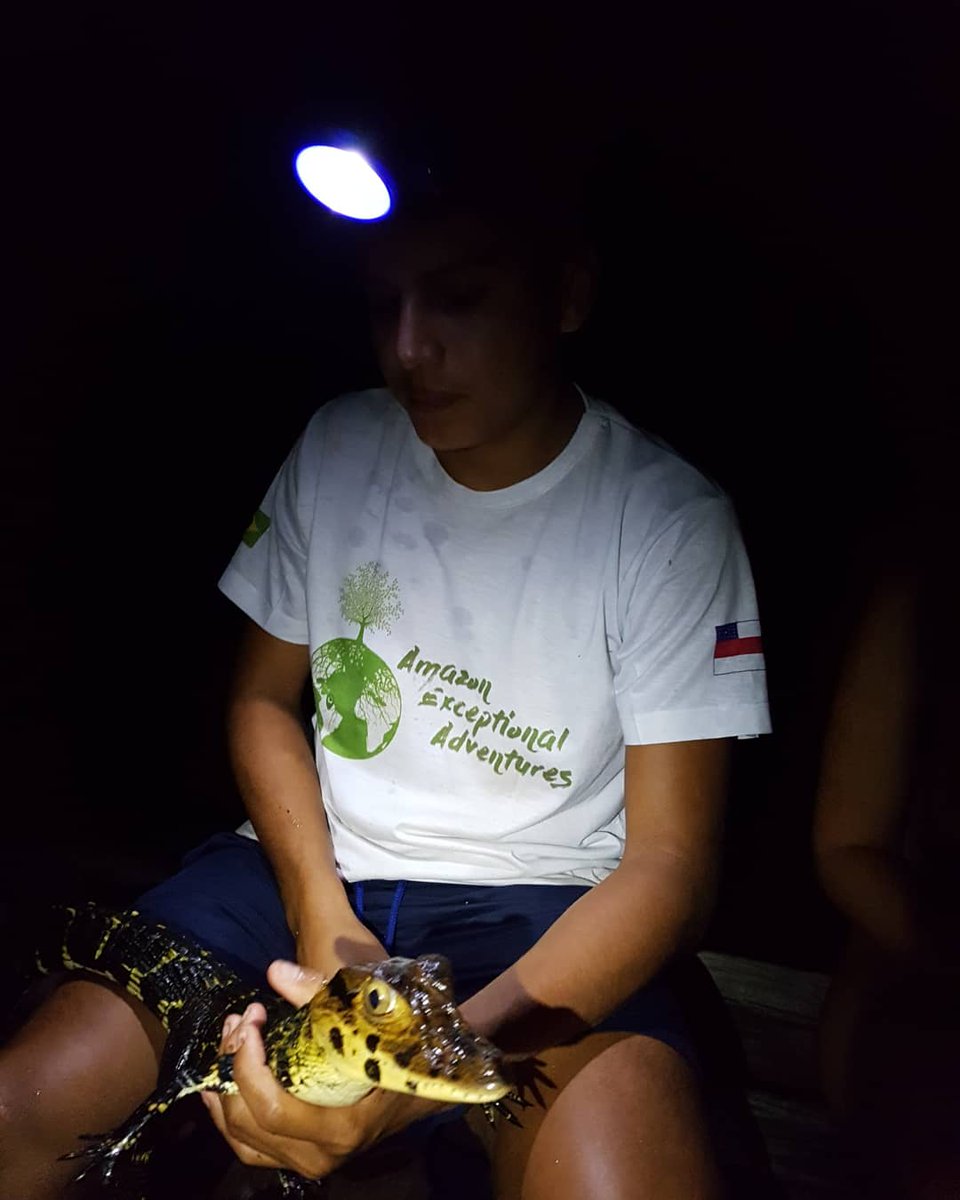 AmazonExAdv's tweet photo. Giving some explanation about the caïman 🐊#caiman #blackcaiman #jacaré #adventures #discover #explore #instatravel #jungletour #junglelife #experience #wildlife #impressive #beauty #animals #naturelovers #welcometothejungle #selva #magicjungle #amazonasmeuamor
#visitamazonas https://t.co/Ijh7IXveif