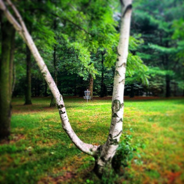 tranquilhyzers's tweet photo. U shaped Triple Mando? We love it!
.
.
.
#discgolf #discgolfeveryday #discgolfshoutouts #dgdaily #dg_on_ig #tranquil #sunday #frolf #frisbeegolf #shootyourshot #innova #zendiscgolf #mindbodydisc #letskastaplast #bedynamic https://t.co/VPuIZT5YYd https://t.co/FSsmWnm0ob
