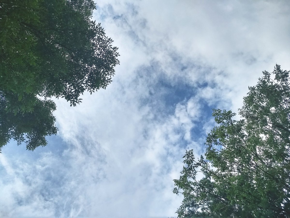thejournalofimp's tweet photo. This is my moment.

#yoga #yogawithadriene #ywahomeretreat #yard #fitnessblogger #fitspo #fitfam #getstrong #trainhard #fitspiration #justdoit #moment #healthylifestyle #noexcuses #fitnessgoals #nopainnogain #findwhatfeelsgood #ywa #trees #clouds #fitness #wellness #fitstagram https://t.co/1d2v6ccWGp