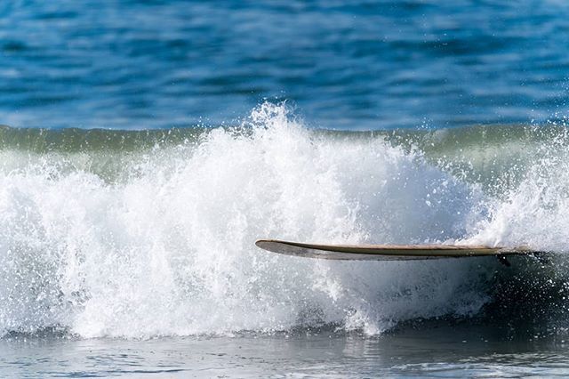 stoneworrior's tweet image. This is the latest in surfboard technology. The board surfs itself 🤣

#ghostsurfboard #surfboard #surftechnology #rogueboard #sonya9 #sigma150600sports #mc11adapter #williamstonephotography ift.tt/2mA24As