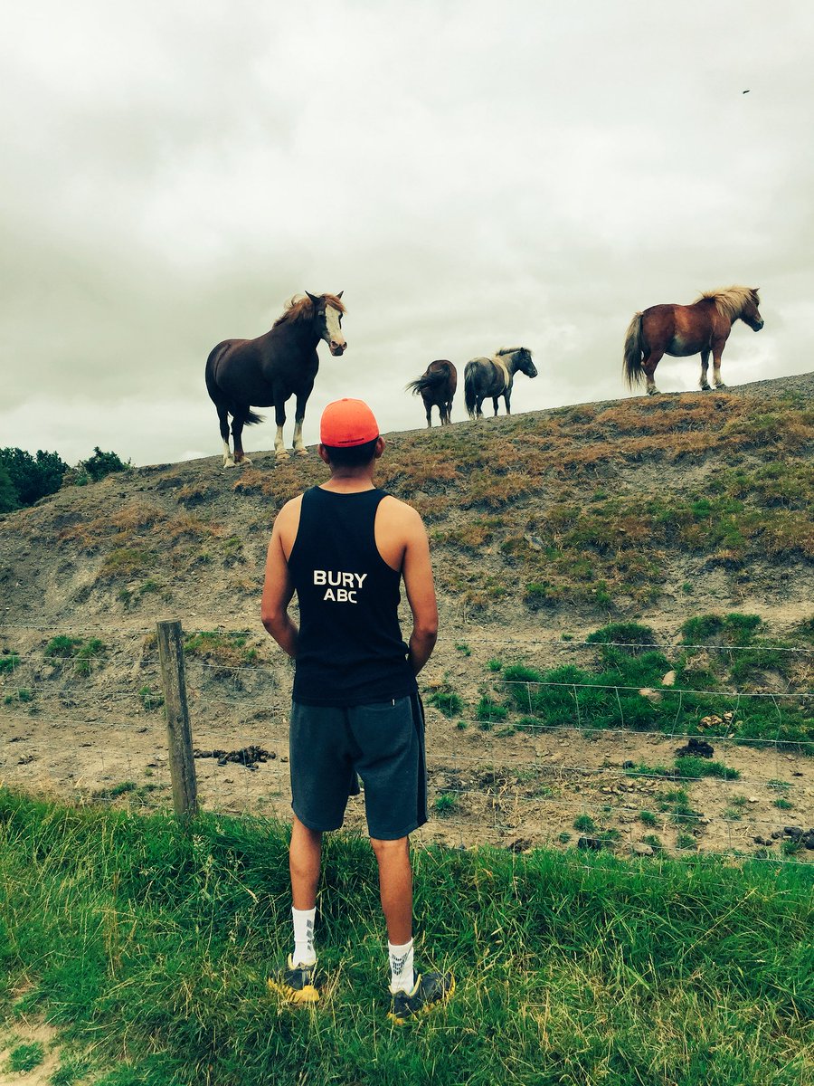 AliAkbarJavid's tweet image. Difficult roads often lead to beautiful destinations #aliajr #thewarrior #underconstruction 🐎🤙🏼 @buryabc