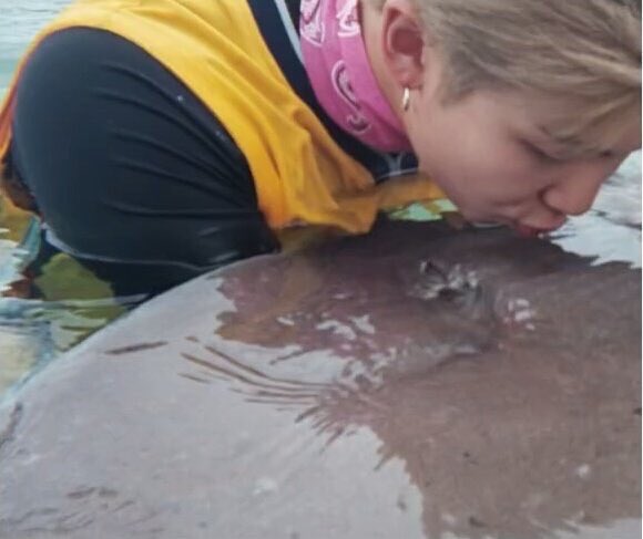 CUTlEPJM's tweet photo. me: searches how to be a stingray https://t.co/wHEReoOf5o