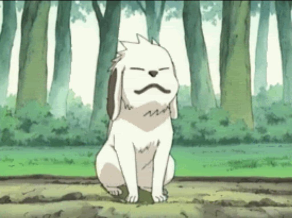 YahBoyJiraiya's tweet photo. Real life Akamaru https://t.co/gKPyCjt9ol