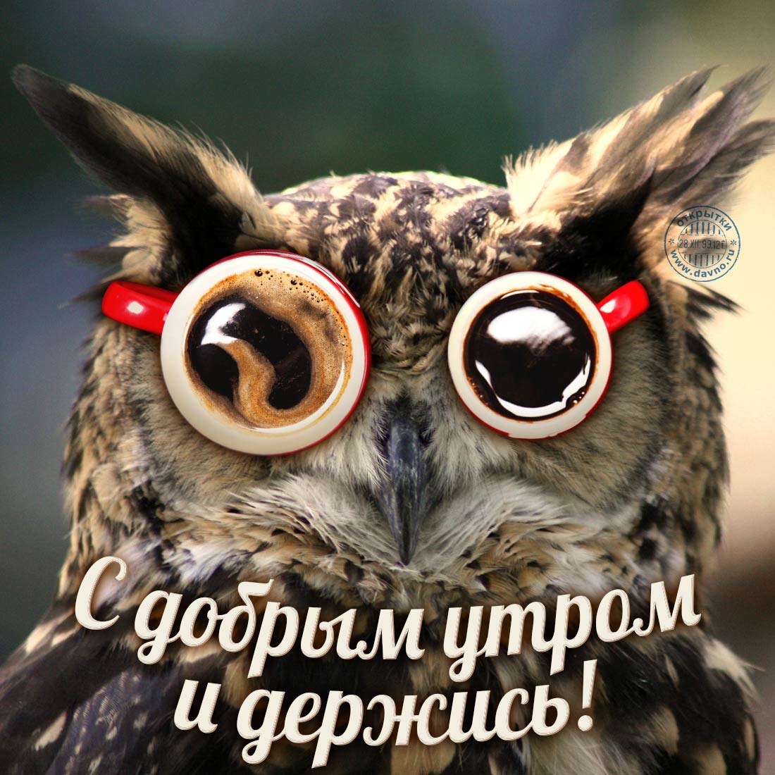 Прикольные картинки с добрым утром и хорошего настроения мужчине
