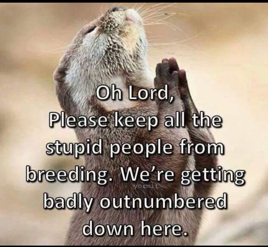 karen_kams56's tweet photo. Ode to #Tallahassee #DHS #FBI #FusionCenters #Infragard #RedneckRetards #ContractStalkers #ContractKillers #TheWalkingBrainDead #parasites #STUPID https://t.co/ij8WR6x0ja
