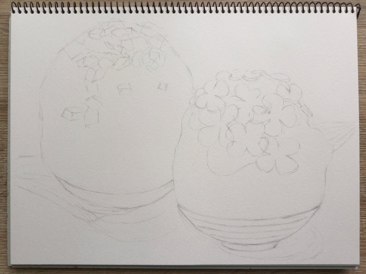 Mog Neko در توییتر 今のかき氷って 芸術的なんですね 近所のかき氷屋さんはいつも長蛇の列で なんでなんで と思っていました 愛でて美味しい 食べて美味しい なのかな 水彩画 納涼 かき氷 絵画 イラスト