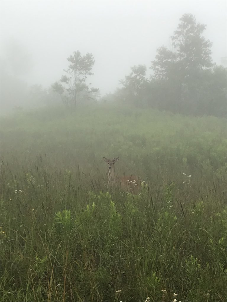 Tim Osborne tweet media