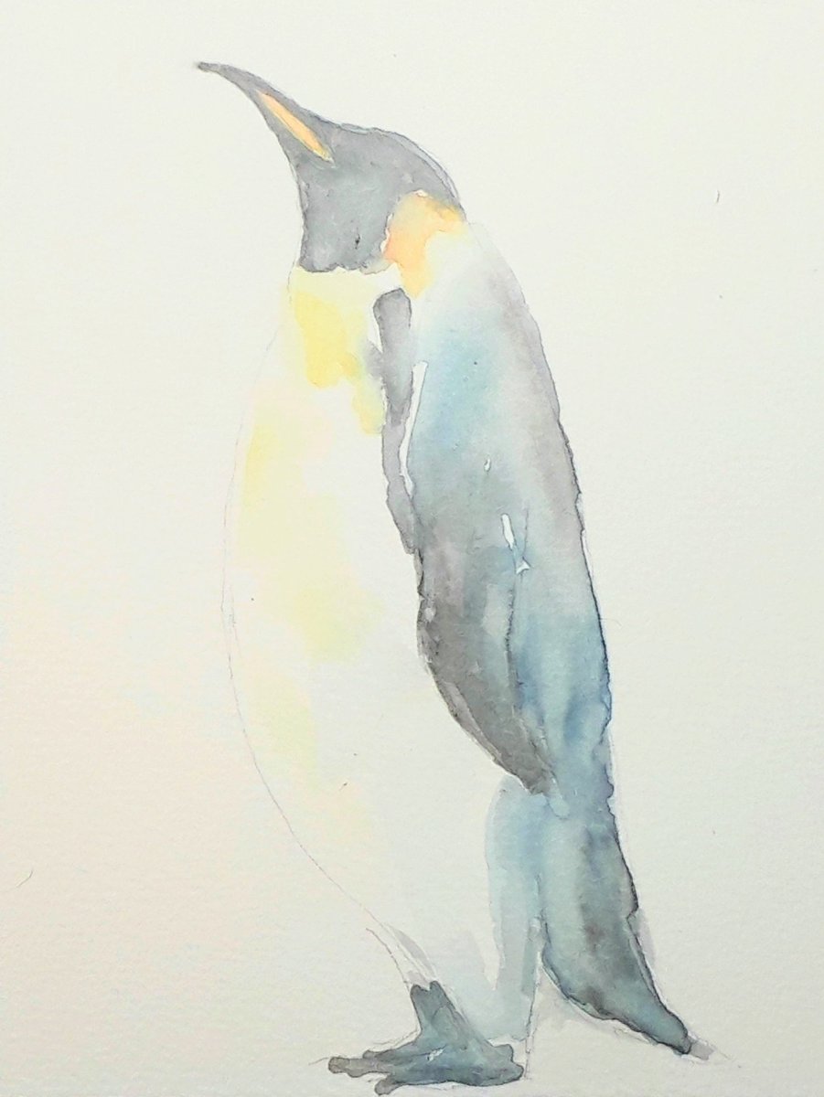 そ Twitterren コウテイペンギンさん ついにケープさん構図尽きたので 水彩 水彩画 ペンギン 絵描きさんとつながりたい 水彩絵を流して水彩民を増やそう そ Twitterren コウテイペンギンさん ついにケープさん構図尽きたので 水彩 水彩画 ペンギン 絵描きさんとつながりたい 水彩絵を流して水彩民を増やそう