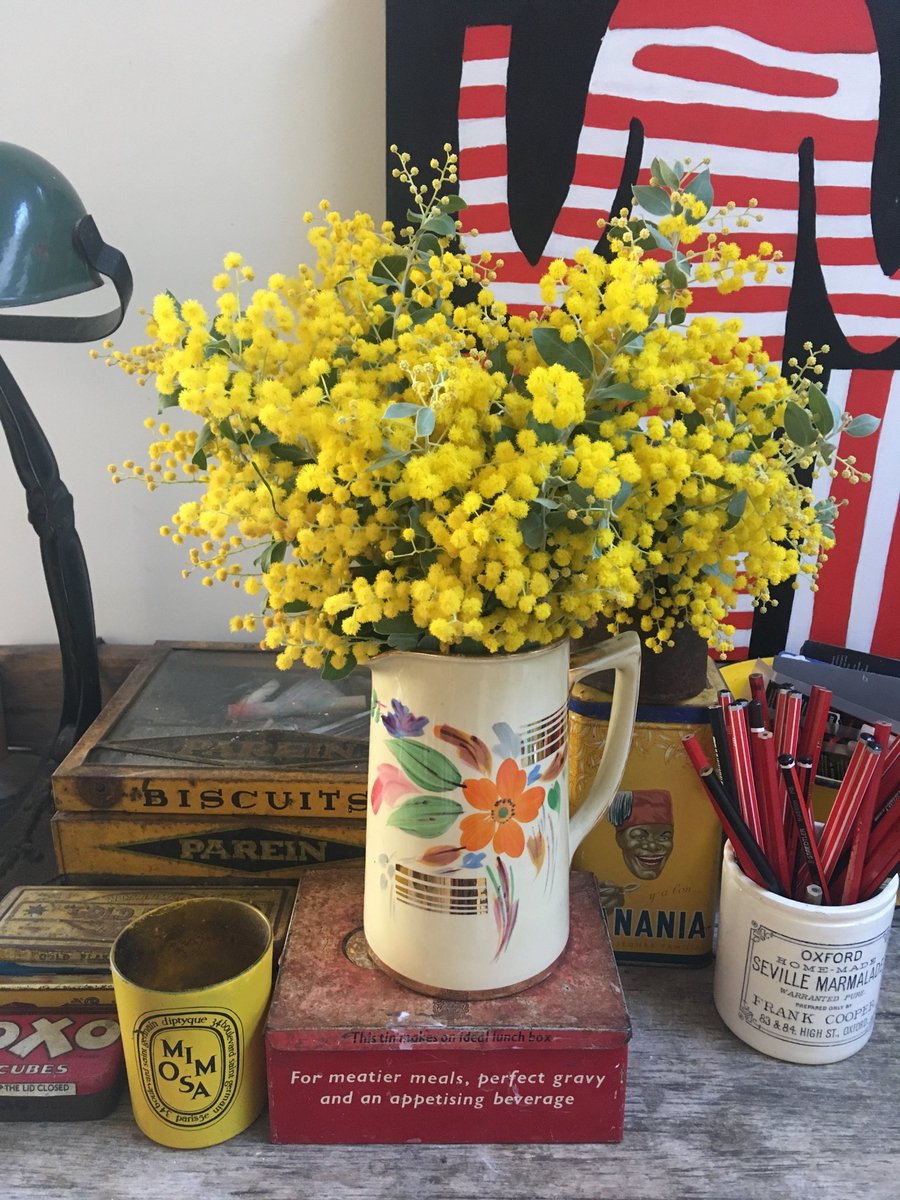 The wattle’s out. Bring on Spring.