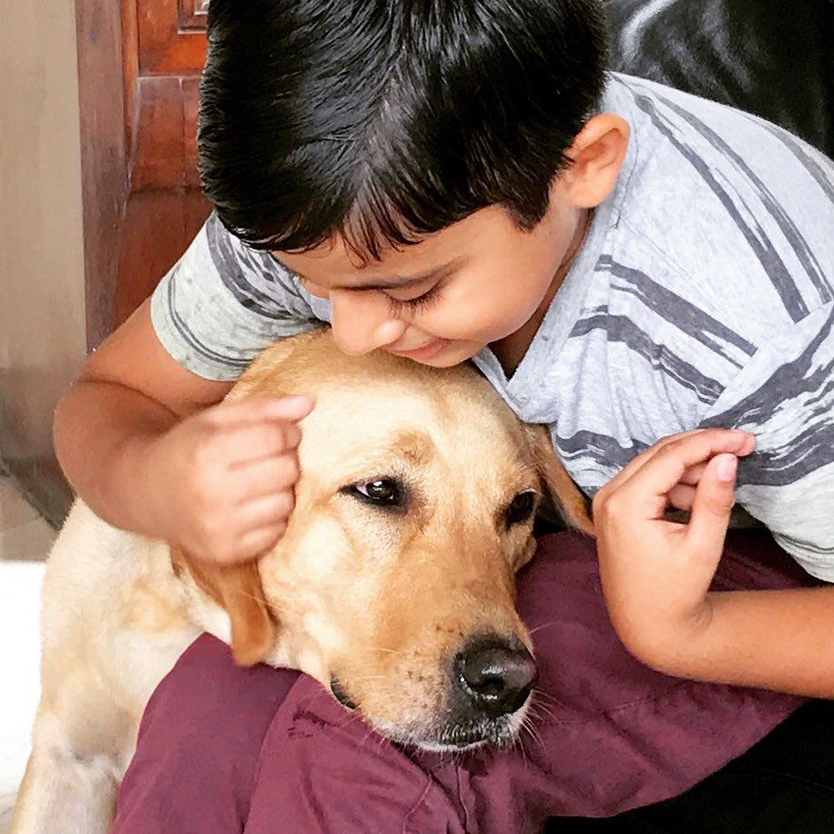 This young boy was viciously attacked by a dog recently, leaving him with physical & psychological scars
He came over to meet with Maya. She pushed her favorite ball into his lap. He smiled, she wagged her tail. And then there was magic!
#healingpaws #therapydog #loveon4paws