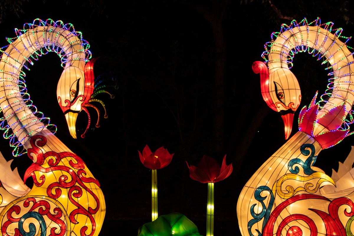 fishiversity's tweet photo. Spent less than 24 hours in the @CityofCleveland to visit the Lantern Festival at @clemetzoo. It was FANTASTIC - hope you bring it back. Some favorite pics . . . https://t.co/zawdifVliz