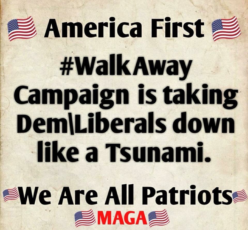 Maga 🇺🇸 tweet media