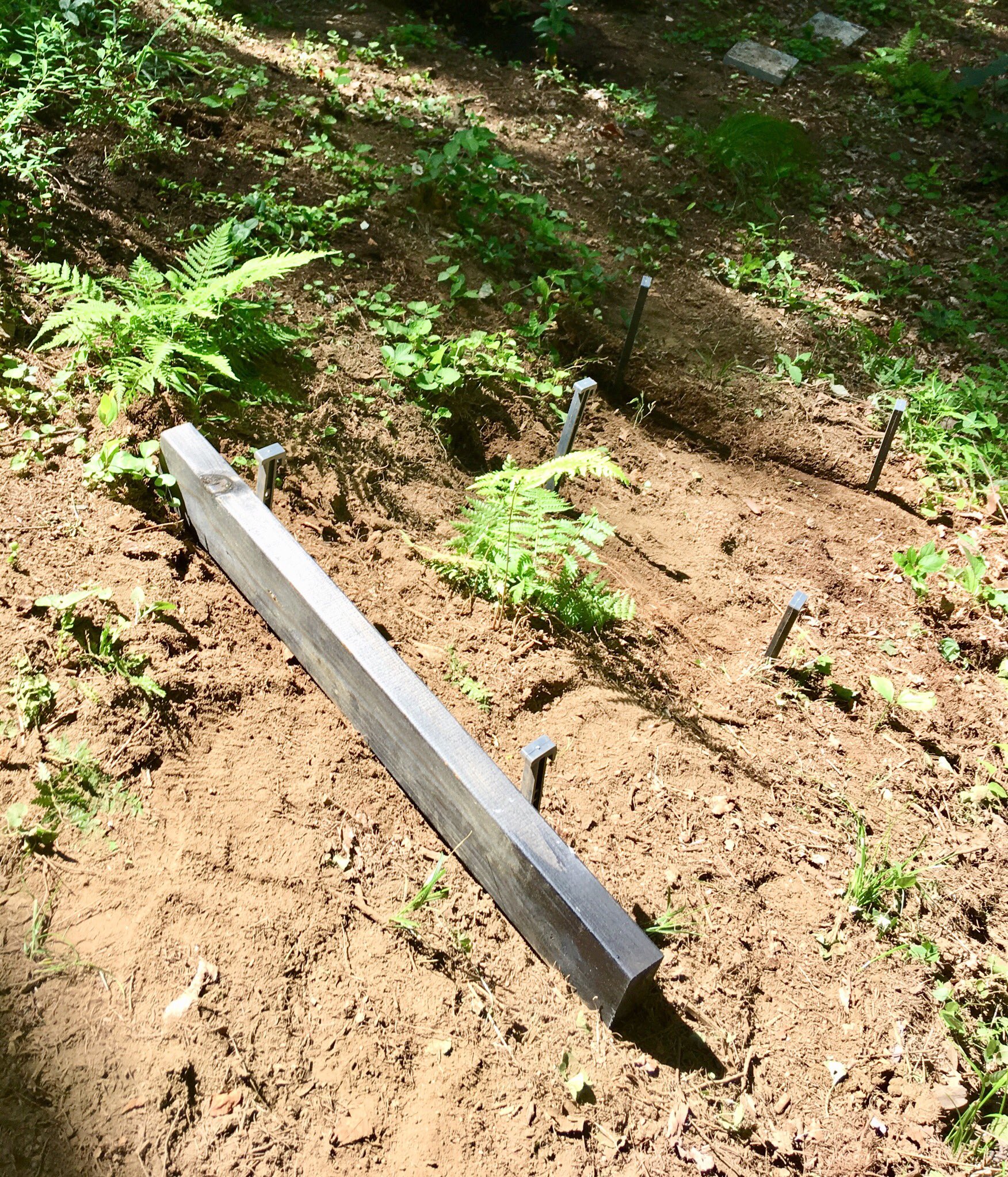 Satosanpo 斜面で構成されている庭が 日照りとモグラで崩壊し土砂滑り寸前 土留め兼階段を応急処置で作るべく あり合わせの木材に防腐剤塗り塗り 漫画のような滑落 Amp 穴落ちは今日中に回避できそう イヌさんひどい状態 どうしちやったんでしょ