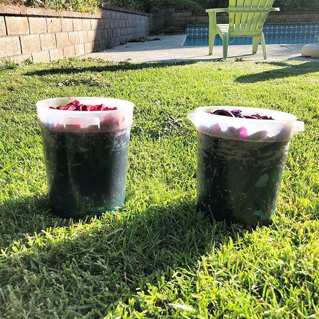CandiedFabrics's tweet image. I had a lot of old dyestocks so decided to do some parfait #dyeing! This is a great way to use up dye that's past it's prime!!! #prociondye #handdyed ift.tt/2uVRFD8