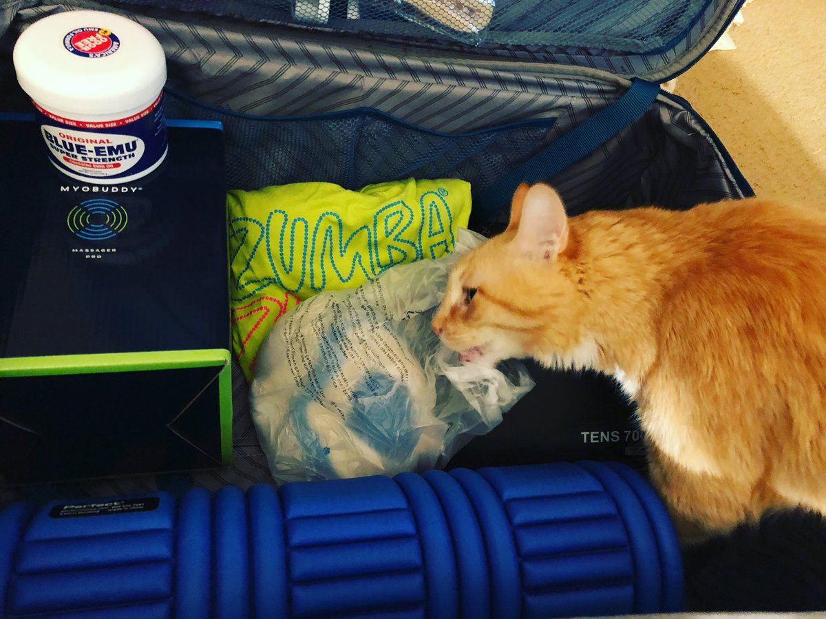 KCam1218's tweet image. Trying to pack for #zincon and this plastic-eating furry feline won’t let me finish! 🙄😼 #zinproblems #zincon2018 #allupinmybusiness #CatsOfTwitter