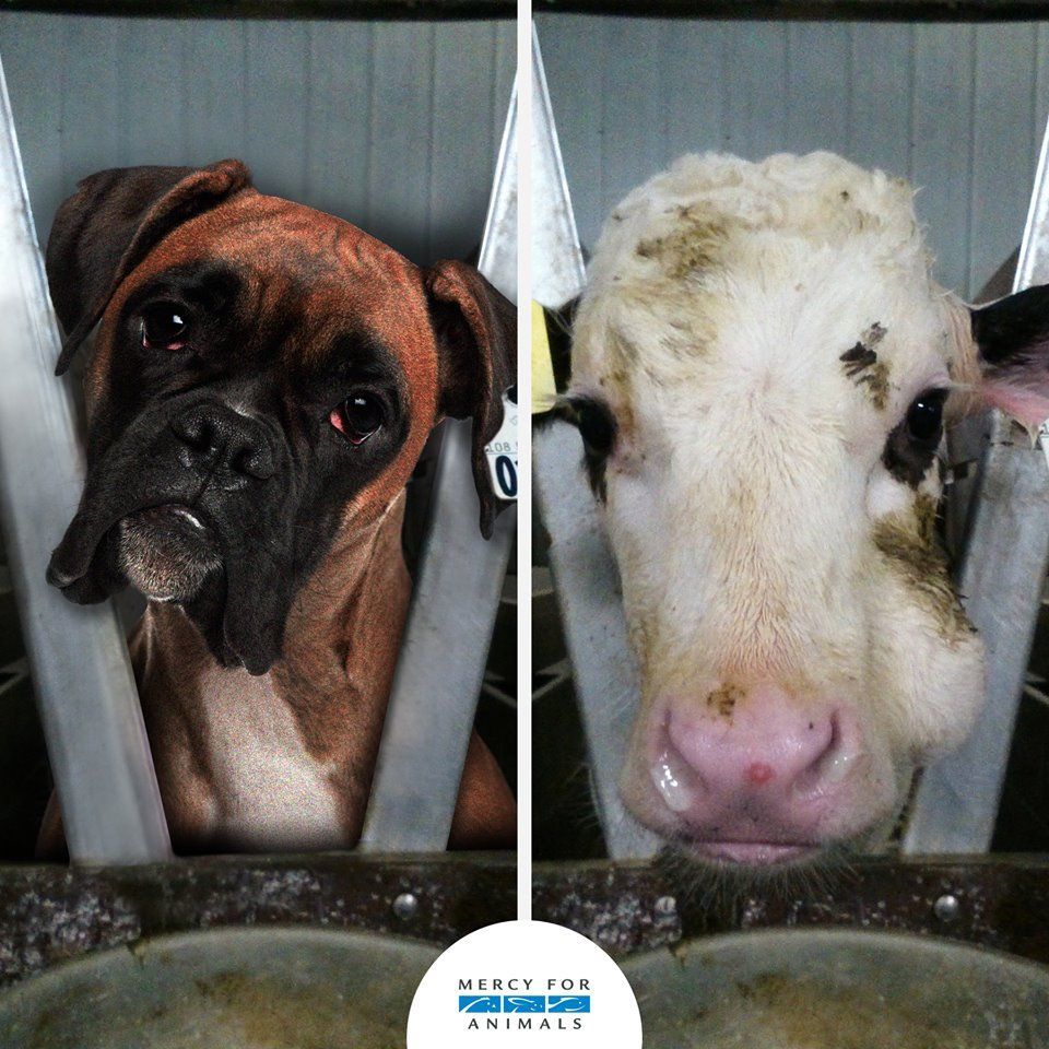 Make the connection.