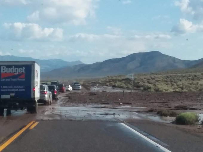 View image on Twitter