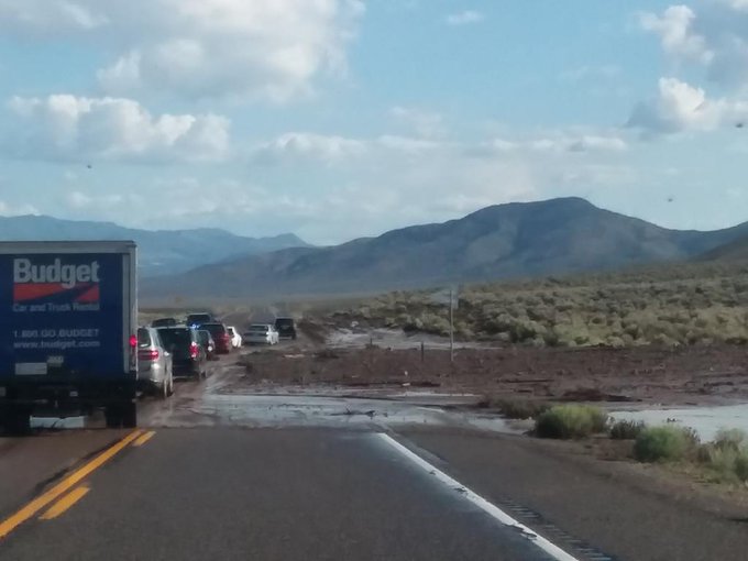 View image on Twitter