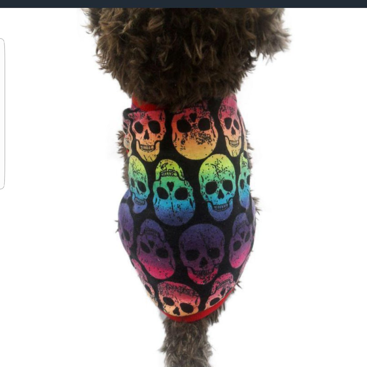 Wags4You2's tweet photo. Rainbow Skull tank top! So adorable I love it! Link on our page! Sign up those #puppypoints y'all! Get 500 points for just signing up
#dog #dogs #doglovers #doggy #doggo #dogsupplies #smalldogs #mediumdogs #bigdogs #puppies #cute #adorable #pretty #animal #pets #animals #wags4you https://t.co/06gUtWkRxX