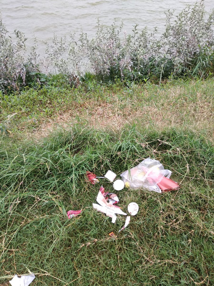 KavithaReddyKR's tweet photo. Shame! This is what @AgaraLake visitor have thrown around! We Human Beings do not deserve anything good! Nature is visible God, if we do not have good Environment our survival is not possible!
#MondayTrashWalk #MondayPlogging https://t.co/RQxikikueX