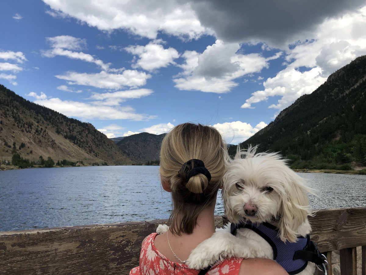 Wuhpappels's tweet photo. It’s really all about me...not the mountains.  ❤️
#JaspersWorld
#Loved
#Rescued
#MyHoomanandMe 
#IamLoved https://t.co/4olPixl5nD