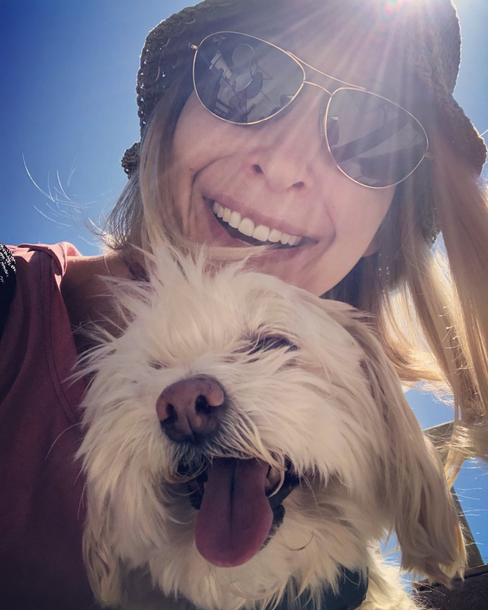 Wuhpappels's tweet photo. I made my Hoomans day...
#MakeADogsDay
#RescueDogsRock https://t.co/vhd3EyW2Le