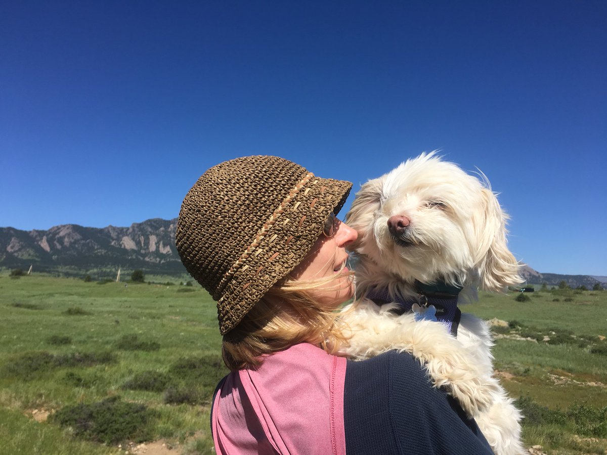 Wuhpappels's tweet photo. I made my Hoomans day...
#MakeADogsDay
#RescueDogsRock https://t.co/vhd3EyW2Le