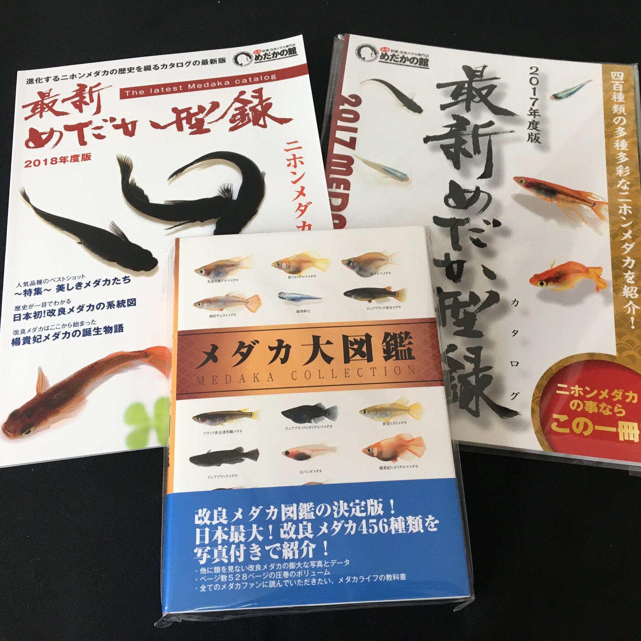 メダカの本屋さん 業者様卸大歓迎 Medakanohonya Twitter