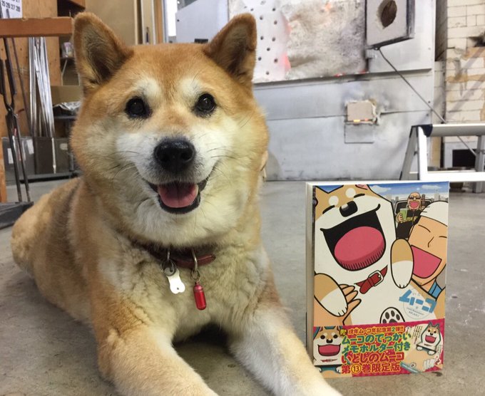 いとしのムーコの注目 画像ツイートまとめ 3ページ目 アニメレーダー いとしのムーコの注目 画像ツイートまとめ 3ページ目 アニメレーダー