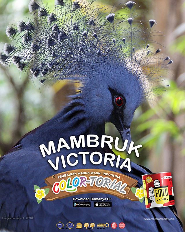 Emco Paint Twitterissa Mambruk Victoria Adalah Salah Satu Dari