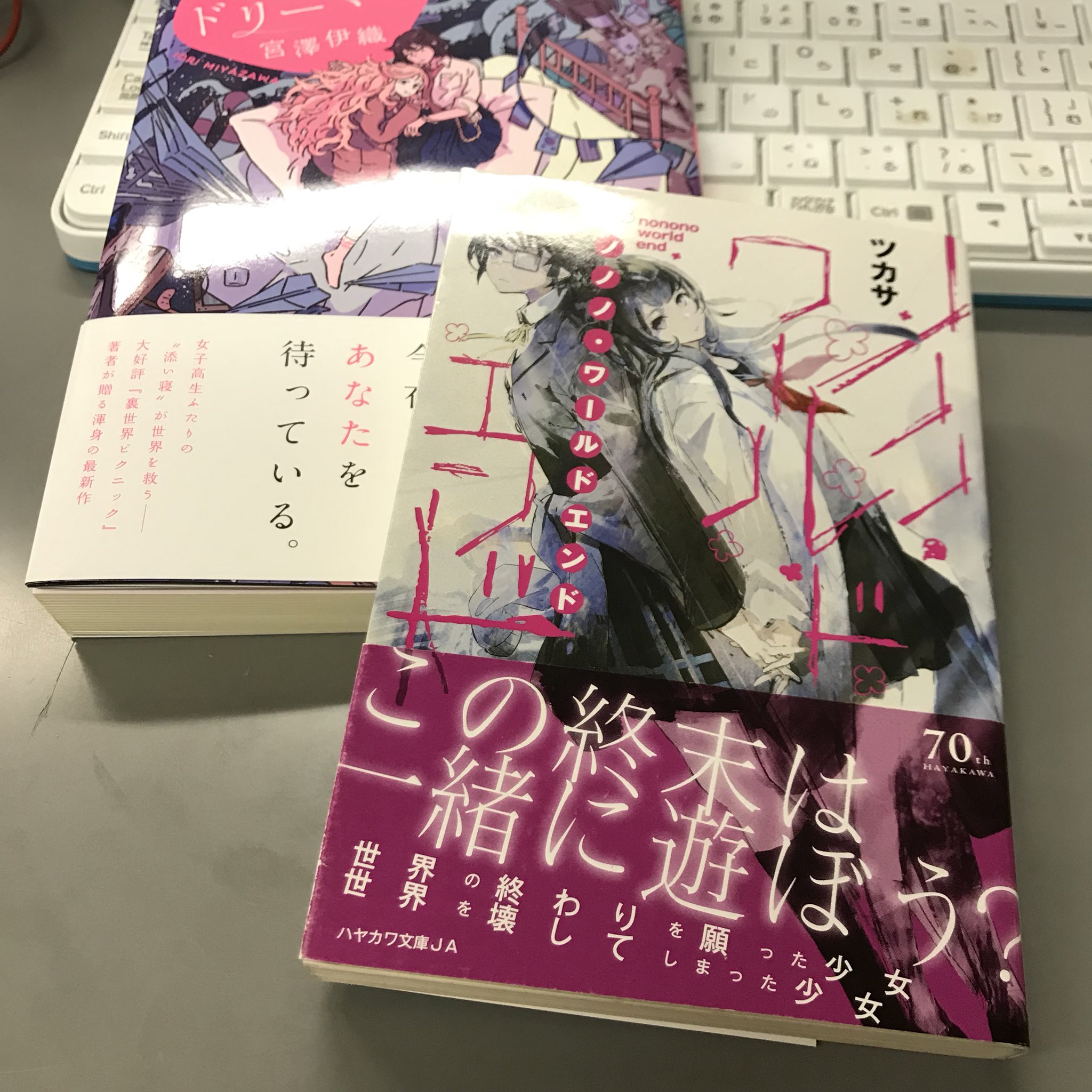 奥村勝也 A Twitter Jk添い寝ドリームsf そいねドリーマー を上梓された宮澤伊織さんと その第一使徒 溝口力丸 早川書房編集 が話題ですが ハヤカワ文庫jaからはjcふたりが自転車で終末を疾走する ツカサさんの ノノノ ワールドエンド が発売されており