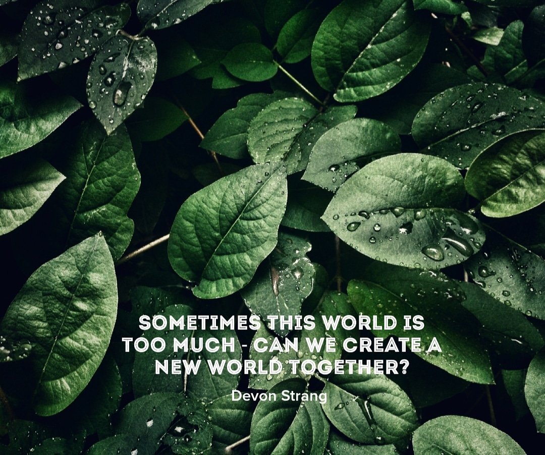 devonstranger's tweet image. Daily Haiku 1082. (c) Devon Strang #haiku #dailyhaiku #devonstrang #poet #poem #poetry #write #writer #writing #words #world #toomuch #create #creative #creating #newworld #together
