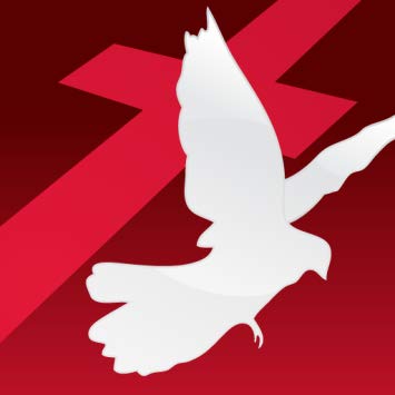 kappreview13's tweet photo. SBN Now
From #Amazon #AppStore https://t.co/MDyhpDX9os #sponsor #free #apps  #lifestyle #Religion &amp; #Spirituality #RT #amazing #Kindle https://t.co/x5pEiW4PiG