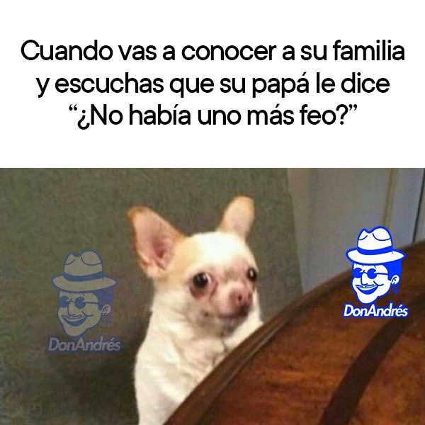 ReporteroYuca's tweet photo. #poecito https://t.co/XBZjJXg2BB
