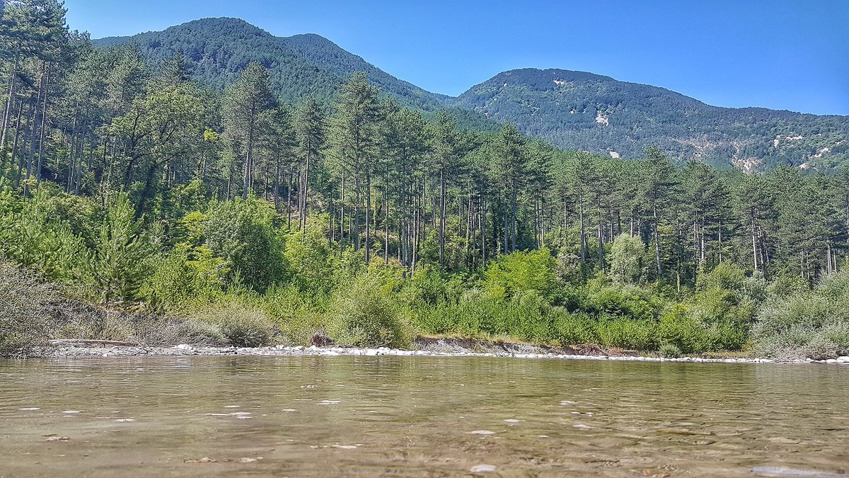 paddleaventures's tweet photo. Prendre un chemin sans savoir ce qu'il y a au bout... une bien belles surprises nous sommes restés 2 jours dans un endroit sauvage et isolée que la nature est belle !!!
#nature #riviere #supexplorer #vanexplorer #van #roadtrip #outdoorlife #foret https://t.co/RV1TrsxhU1