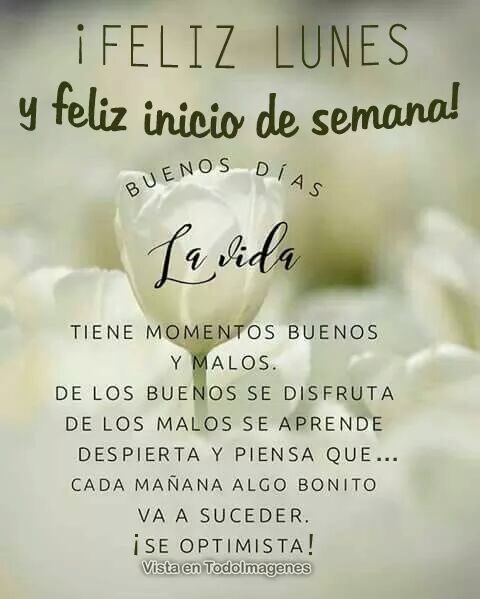 טוויטר  Maria A. Dubuc בטוויטר: "Feliz lunes e inicio de semana !  https://t.co/8MevWneuuS"