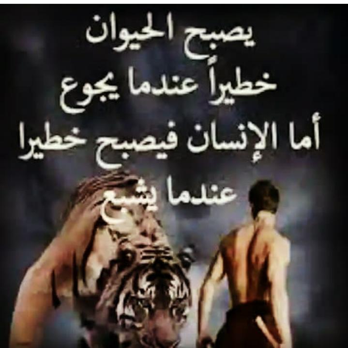 gaoea55's tweet photo. يصبح الحيوان
خطيرا عندما يجوع
اما الانسان فيصبح  خطيرا
      عندما يشبع ...... https://t.co/qY2pQ9P8rA