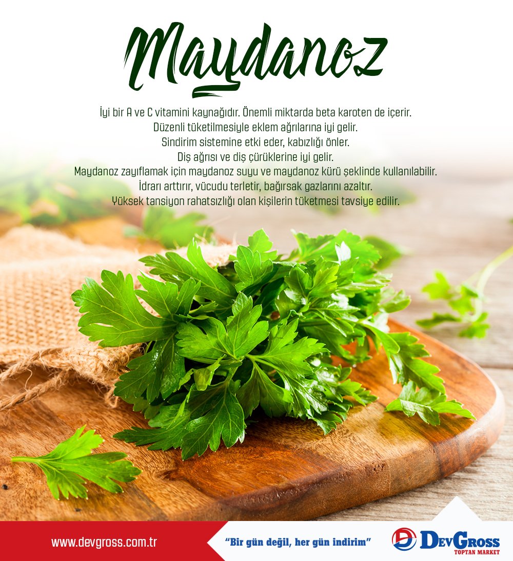 Şifa Kaynağı Maydanozun Faydaları Şifa Kaynağı Maydanozun Faydaları