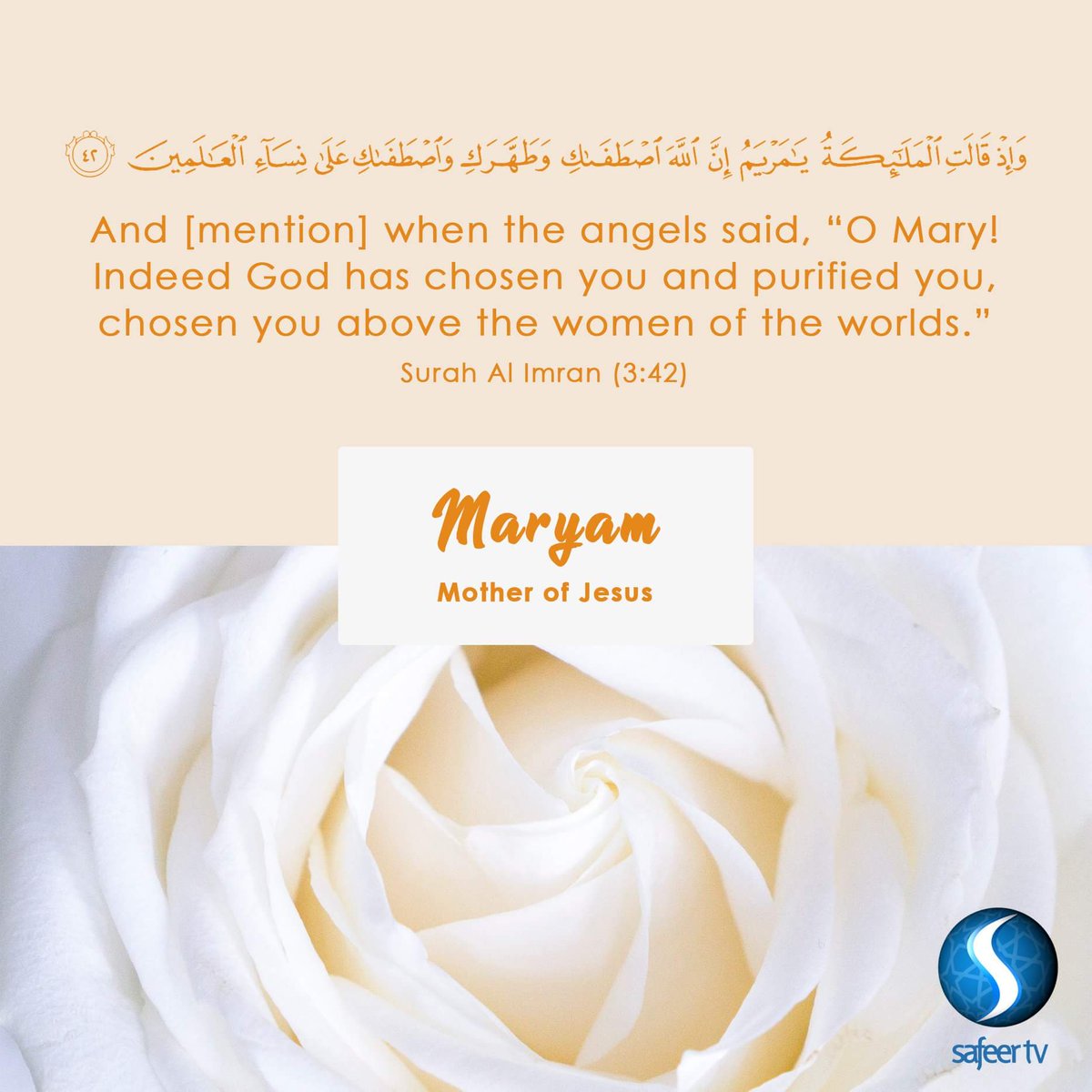 Lady #Maryam #Mother #Jesus #PURE #Mary #Jannah #Quran #love #Allah #quote  #quoteoftheday #beautiful #flower, image size:1200x1200